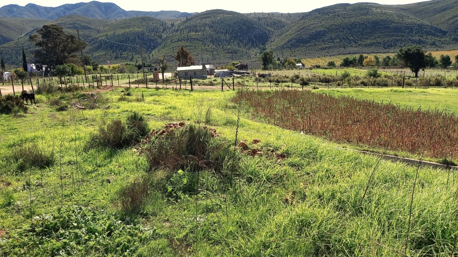Commercial Property for Sale in Haarlem Western Cape